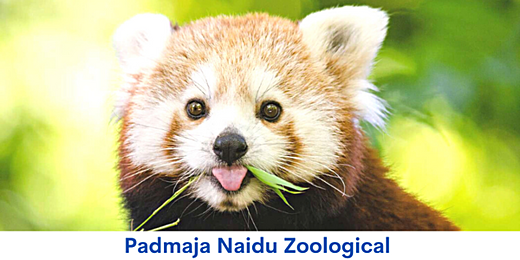 Padmaja Naidu Zoological Park